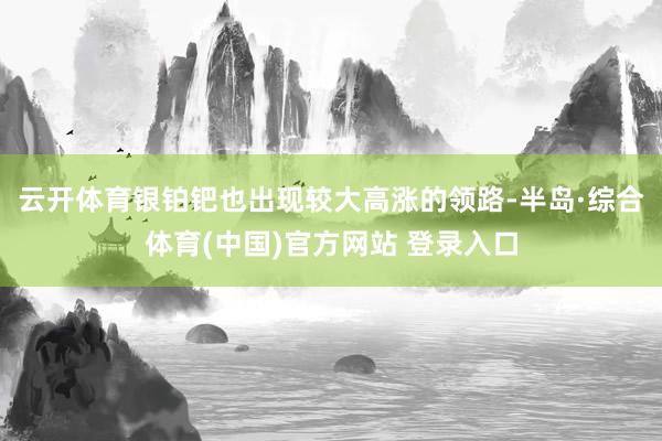 云开体育银铂钯也出现较大高涨的领路-半岛·综合体育(中国)官方网站 登录入口